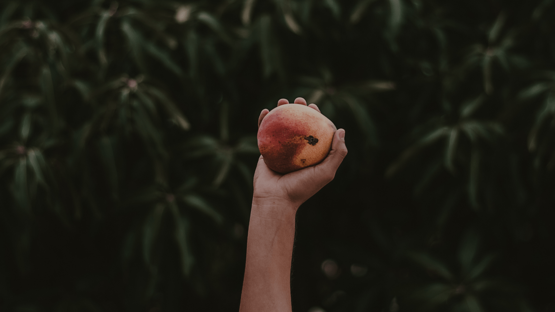 How to Live a Sustainable Life, According to Environmentalists - DACOSTA