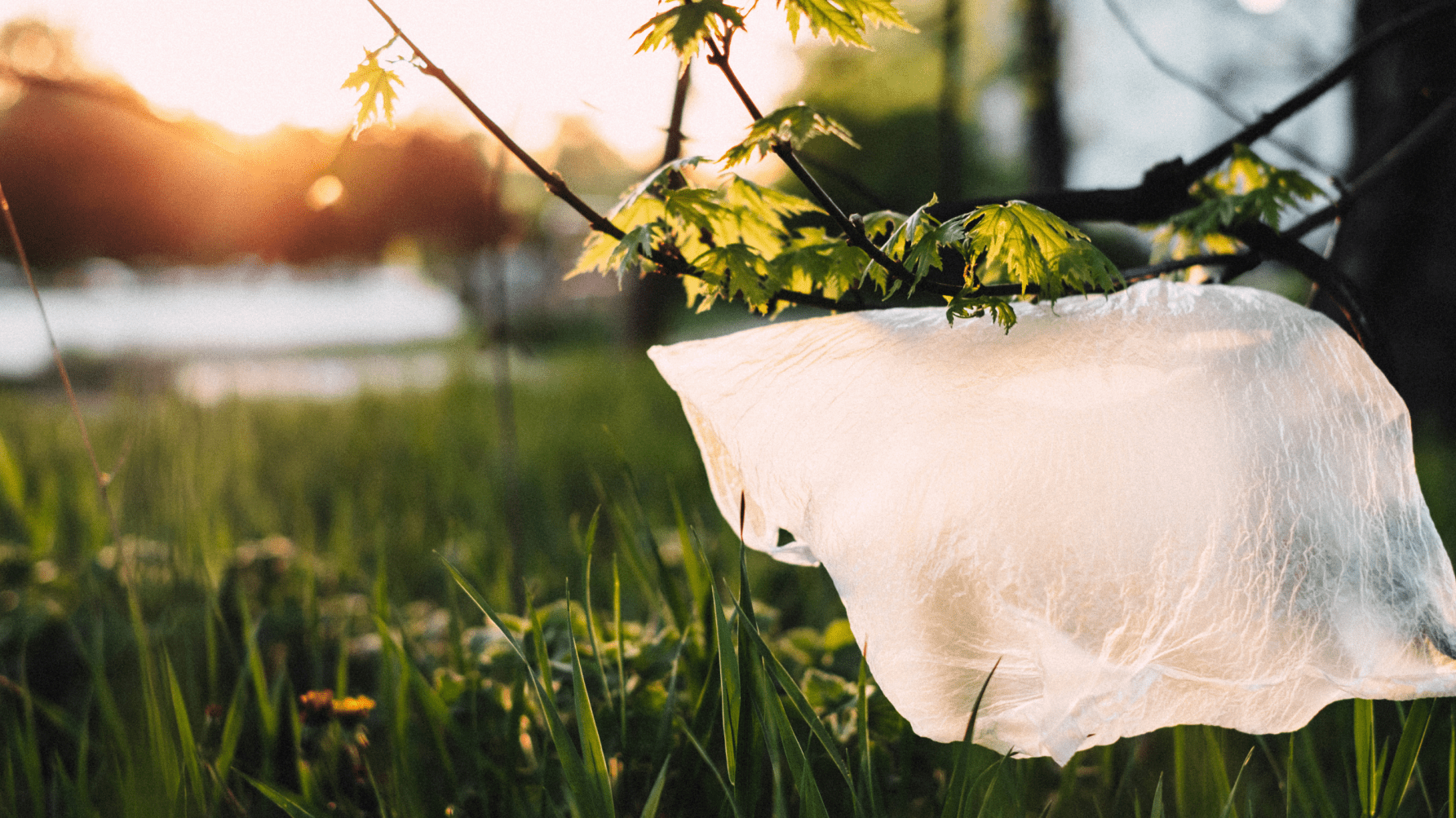 What Is PVC, and Why Is It Such a Problem? - DACOSTA