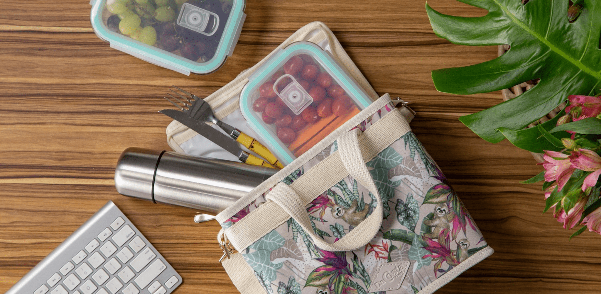 6 Sustainable Household Product Swaps You Should Make (Like Our Lunchbox!) - DACOSTA