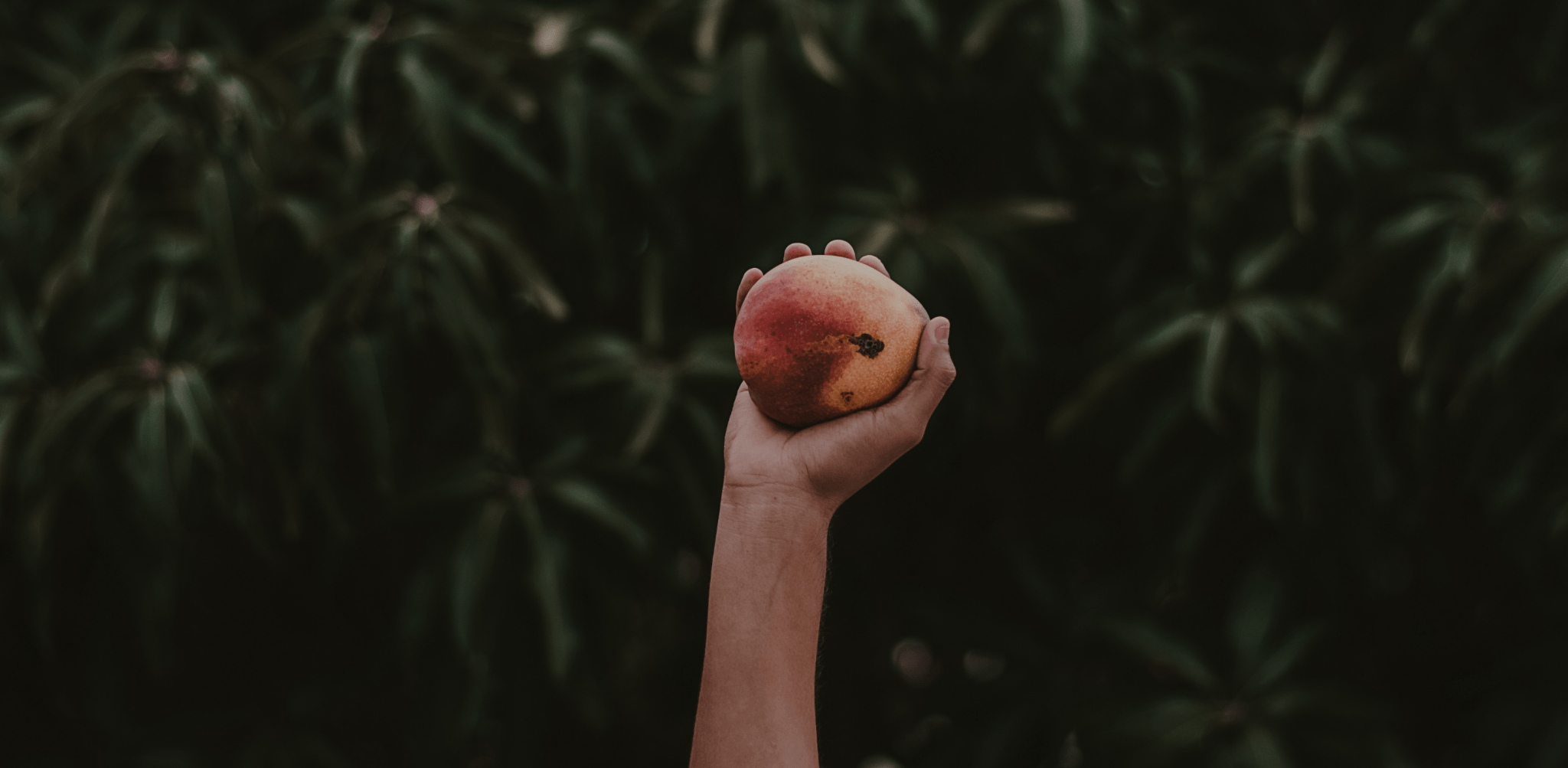 How to Live a Sustainable Life, According to Environmentalists - DACOSTA