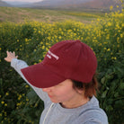 Always Sunny Inside Baseball Cap - DACOSTA