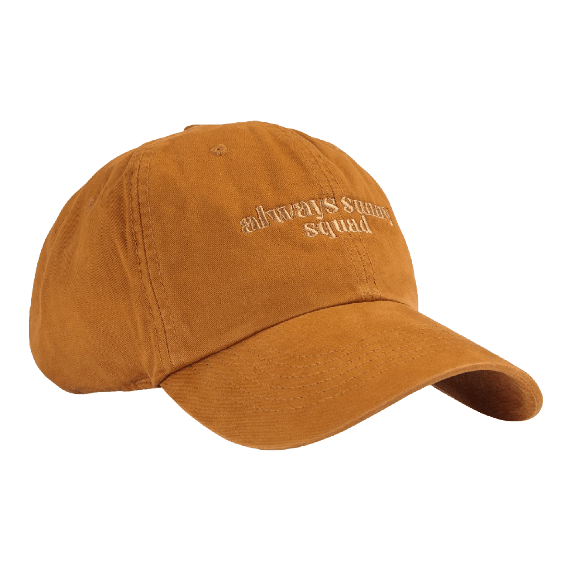 Always Sunny Squad Baseball Cap - DACOSTA